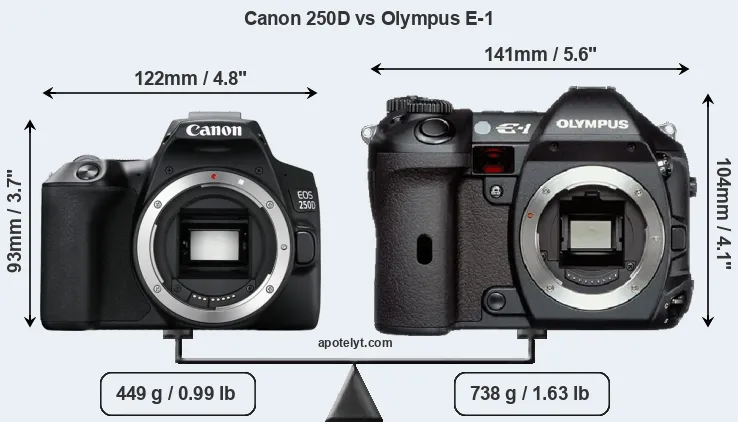 Size Canon 250D vs Olympus E-1