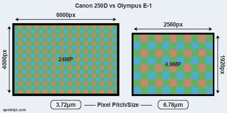 250D versus E-1 MP