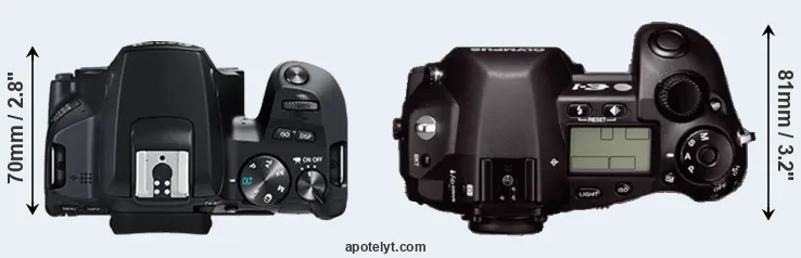 Compare 250D versus E-1 top