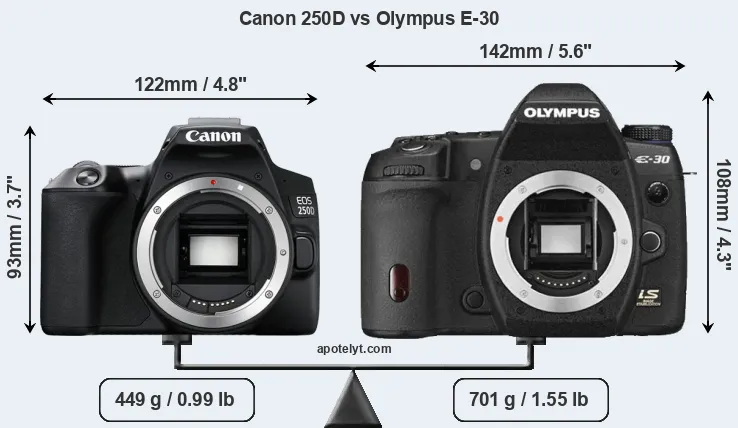 Size Canon 250D vs Olympus E-30