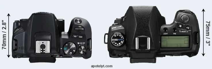 Compare 250D versus E-30 top