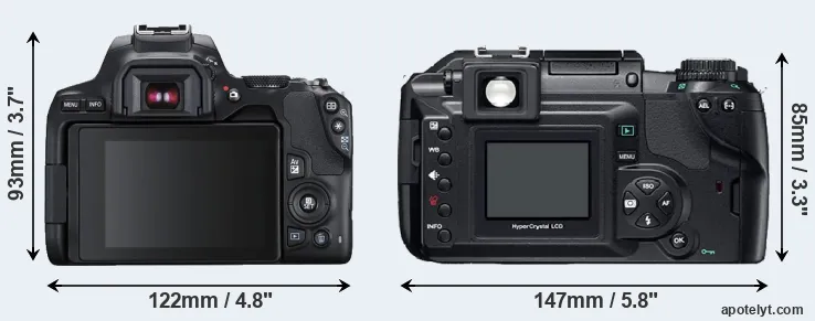 Comparison 250D or E-300 rear