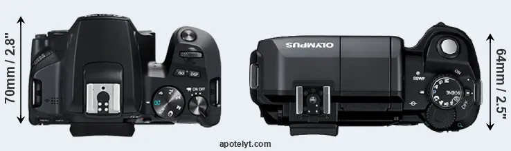 Compare 250D versus E-300 top
