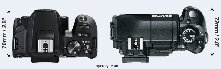 Compare 250D versus E-330 top