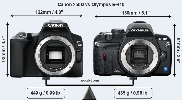 Size Canon 250D vs Olympus E-410