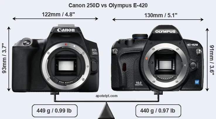 Size Canon 250D vs Olympus E-420