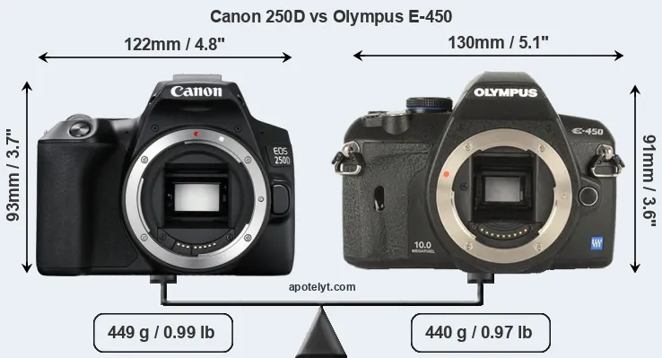 Size Canon 250D vs Olympus E-450