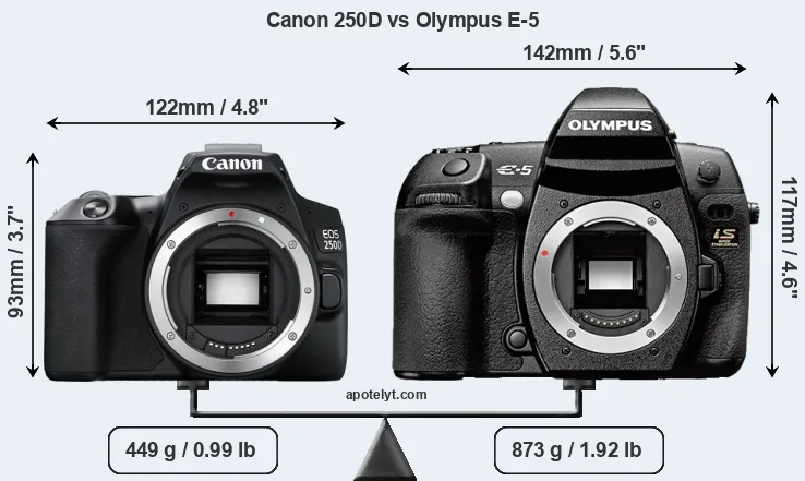 Size Canon 250D vs Olympus E-5