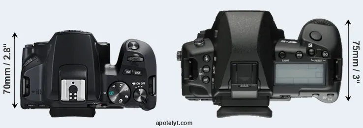 Compare 250D versus E-5 top