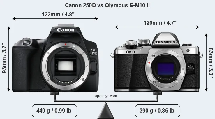 Size Canon 250D vs Olympus E-M10 II