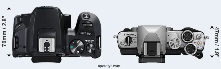 Compare 250D versus E-M10 II top