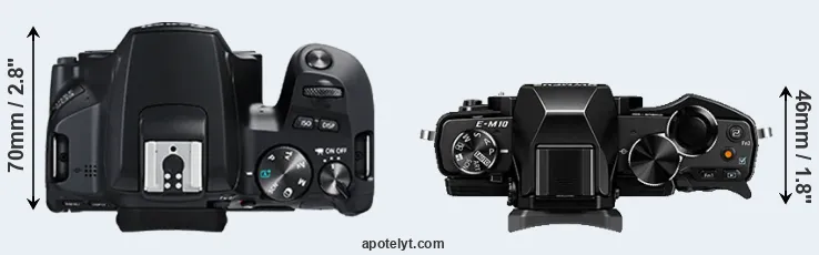 Compare 250D versus E-M10 top