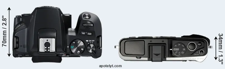 Compare 250D versus E-P3 top