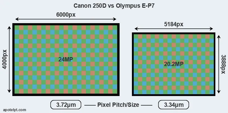 250D versus E-P7 MP