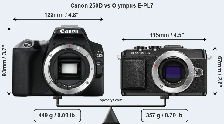 Size Canon 250D vs Olympus E-PL7
