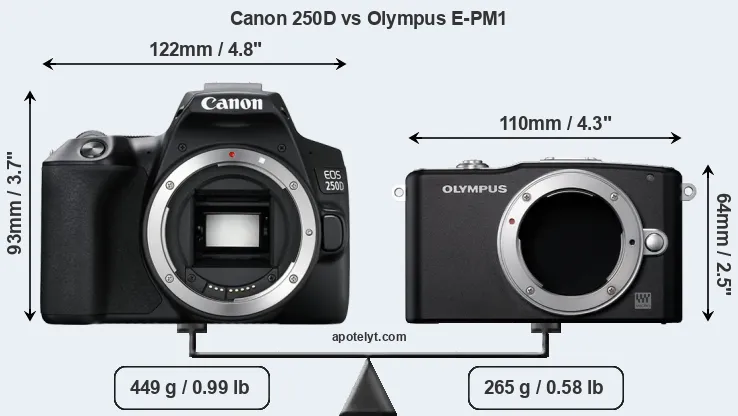 Size Canon 250D vs Olympus E-PM1