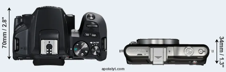 Compare 250D versus E-PM1 top