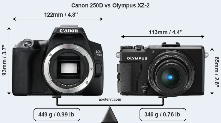 Size Canon 250D vs Olympus XZ-2