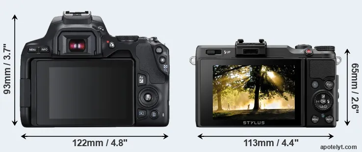 Comparison 250D or XZ-2 rear