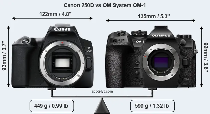 Size Canon 250D vs OM System OM-1