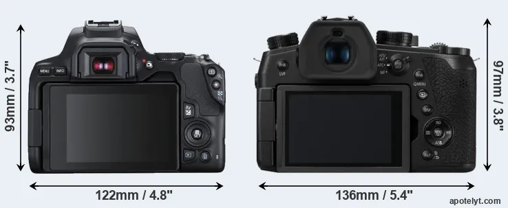Comparison 250D or FZ1000 II rear