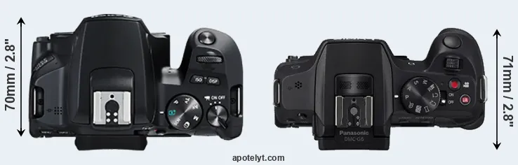 Compare 250D versus G6 top