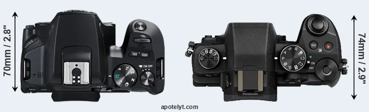 Compare 250D versus G80 top
