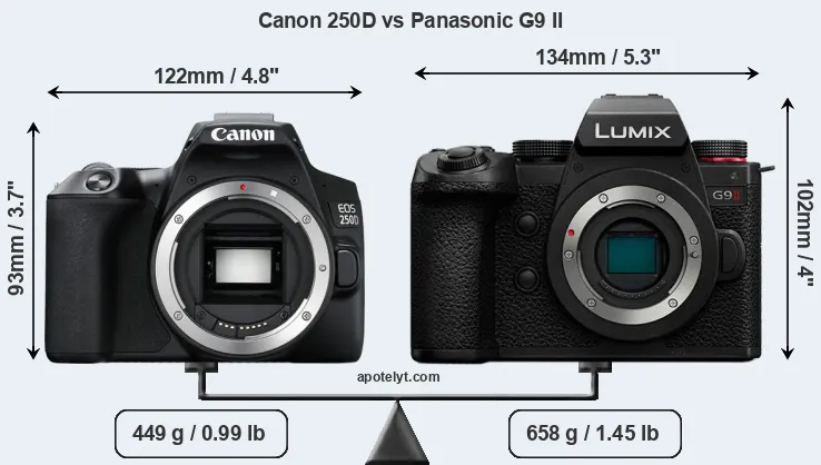 Size Canon 250D vs Panasonic G9 II