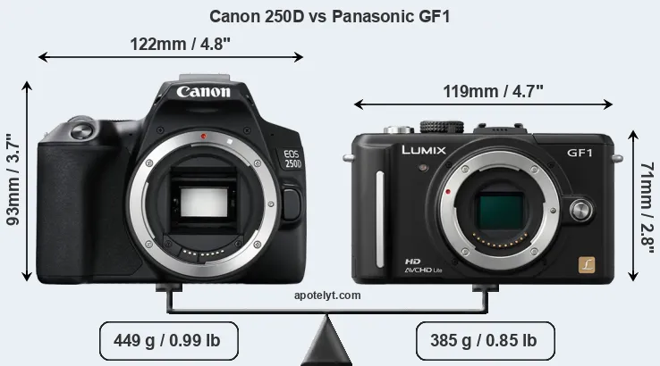 Size Canon 250D vs Panasonic GF1
