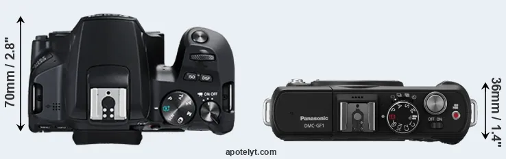 Compare 250D versus GF1 top