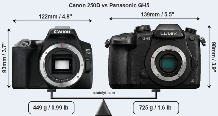 Size Canon 250D vs Panasonic GH5