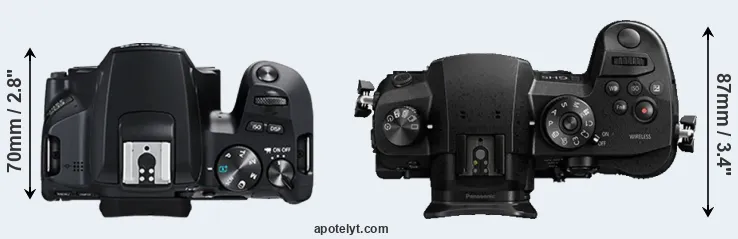 Compare 250D versus GH5 top