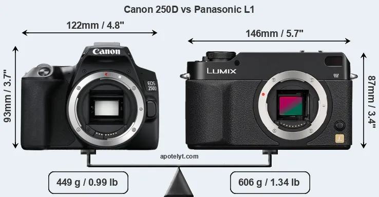 Size Canon 250D vs Panasonic L1