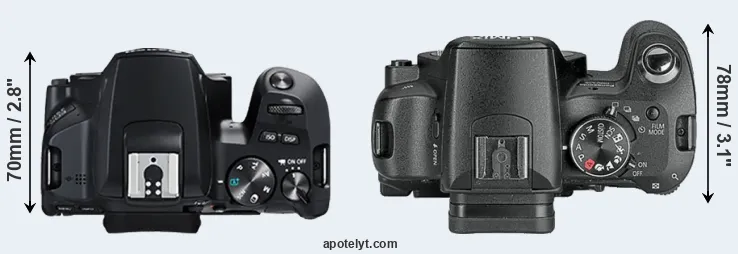 Compare 250D versus L10 top