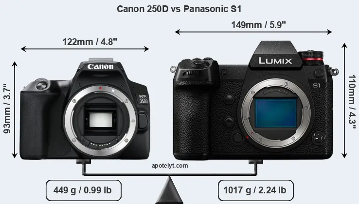 Size Canon 250D vs Panasonic S1