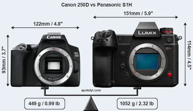 Size Canon 250D vs Panasonic S1H