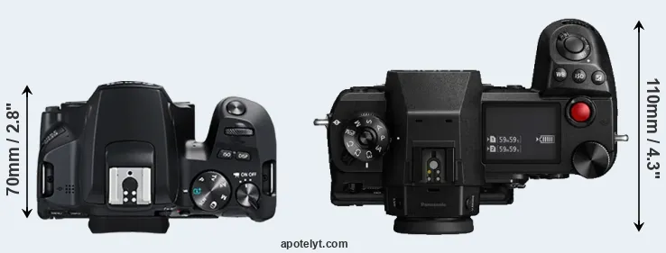 Compare 250D versus S1H top