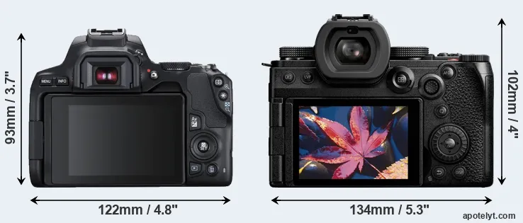Comparison 250D or S5 II rear