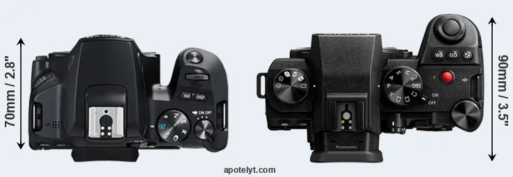 Compare 250D versus S5 II top