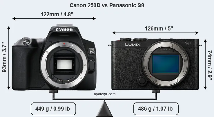Size Canon 250D vs Panasonic S9