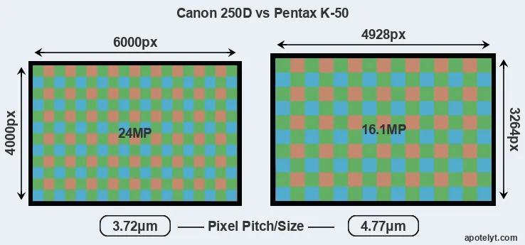 250D versus K-50 MP