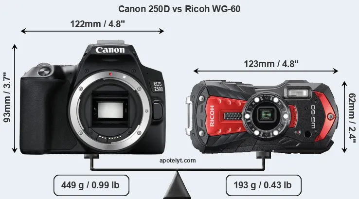 Size Canon 250D vs Ricoh WG-60