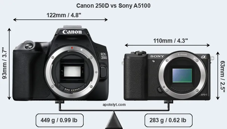 Size Canon 250D vs Sony A5100