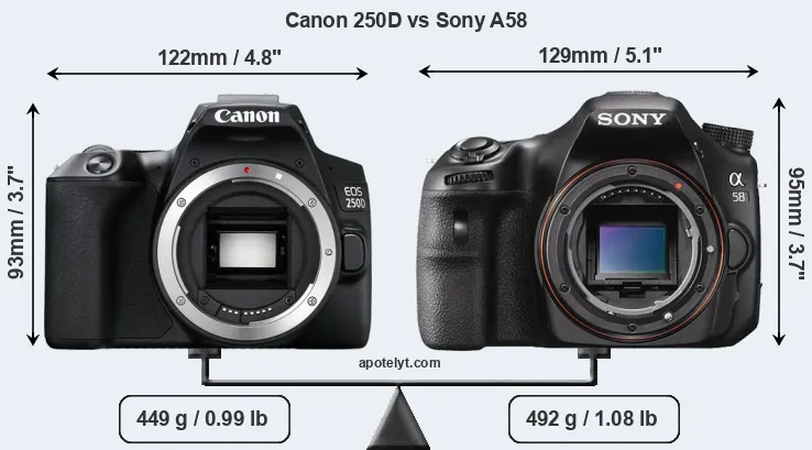 Size Canon 250D vs Sony A58