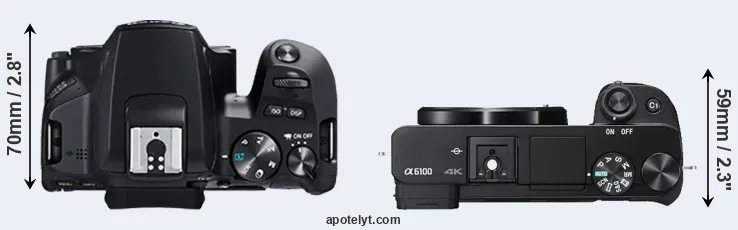 Compare 250D versus A6100 top