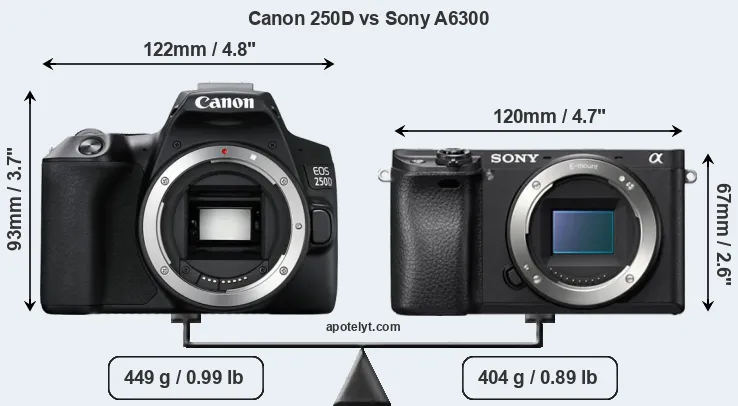 Size Canon 250D vs Sony A6300