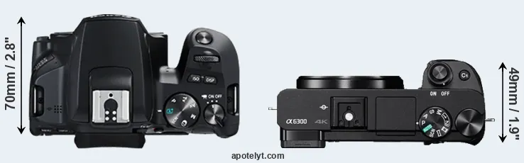 Compare 250D versus A6300 top