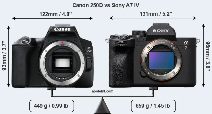 Size Canon 250D vs Sony A7 IV