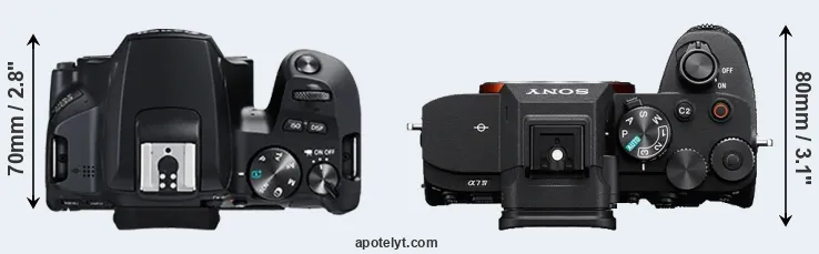 Compare 250D versus A7 IV top
