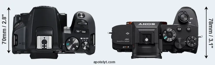 Compare 250D versus A7R IVA top